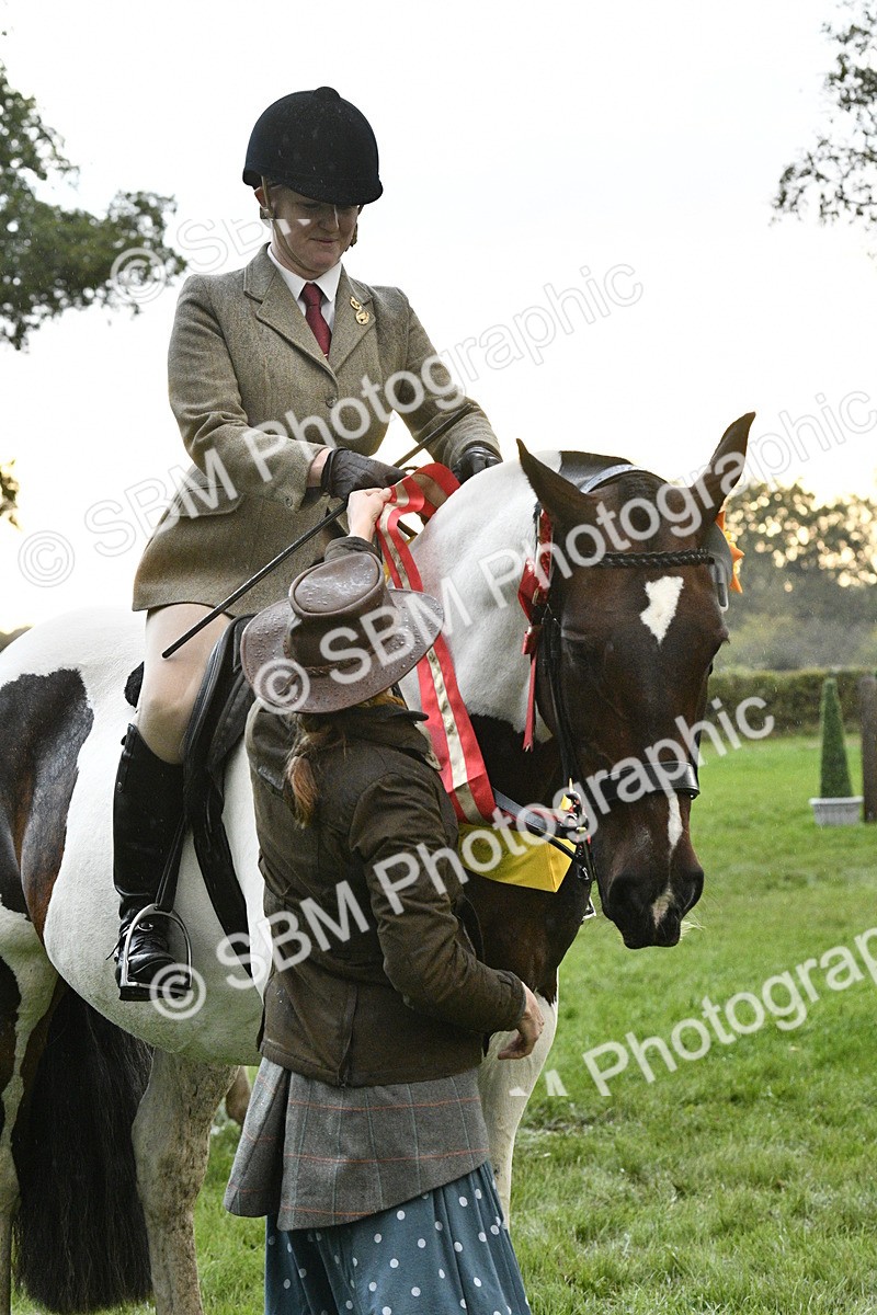 SBM_53331 - S14 - Riding Club Horse