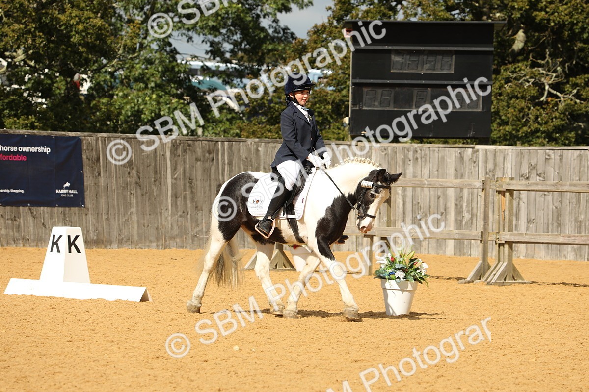 SBM_41908 - D21 - Junior Championship - Intro A