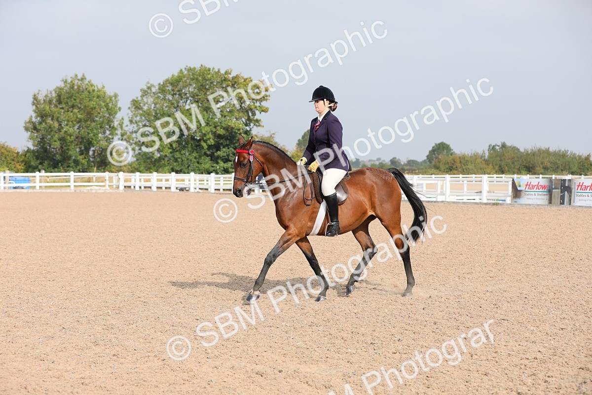 SBM_10901 - Class 304 Ridden Part Bred Horse/Pony