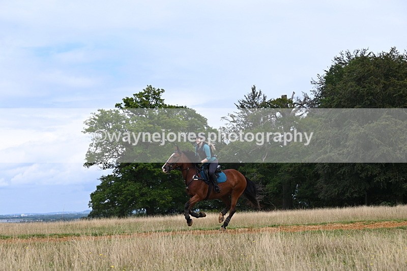 DSC_7692 - Time at Statue 13:16 to 13:52