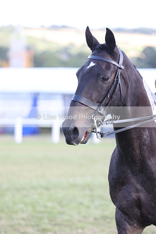 JPP_3505 - Class 22: Working Hunter 90cm