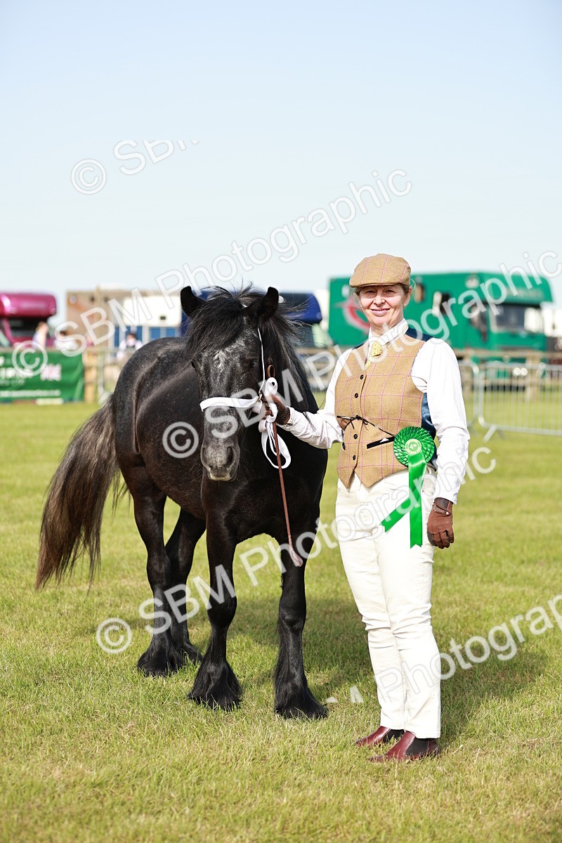 SBM_00771 - Class 14-23 - Mountain & Moorland In Hand Non Welsh