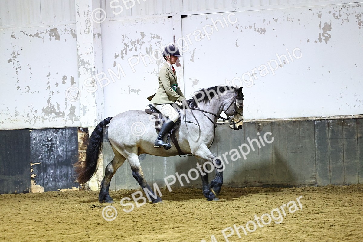 SBM_006721 - Class 43 - RIHS Qualifier Exceeding 43cms