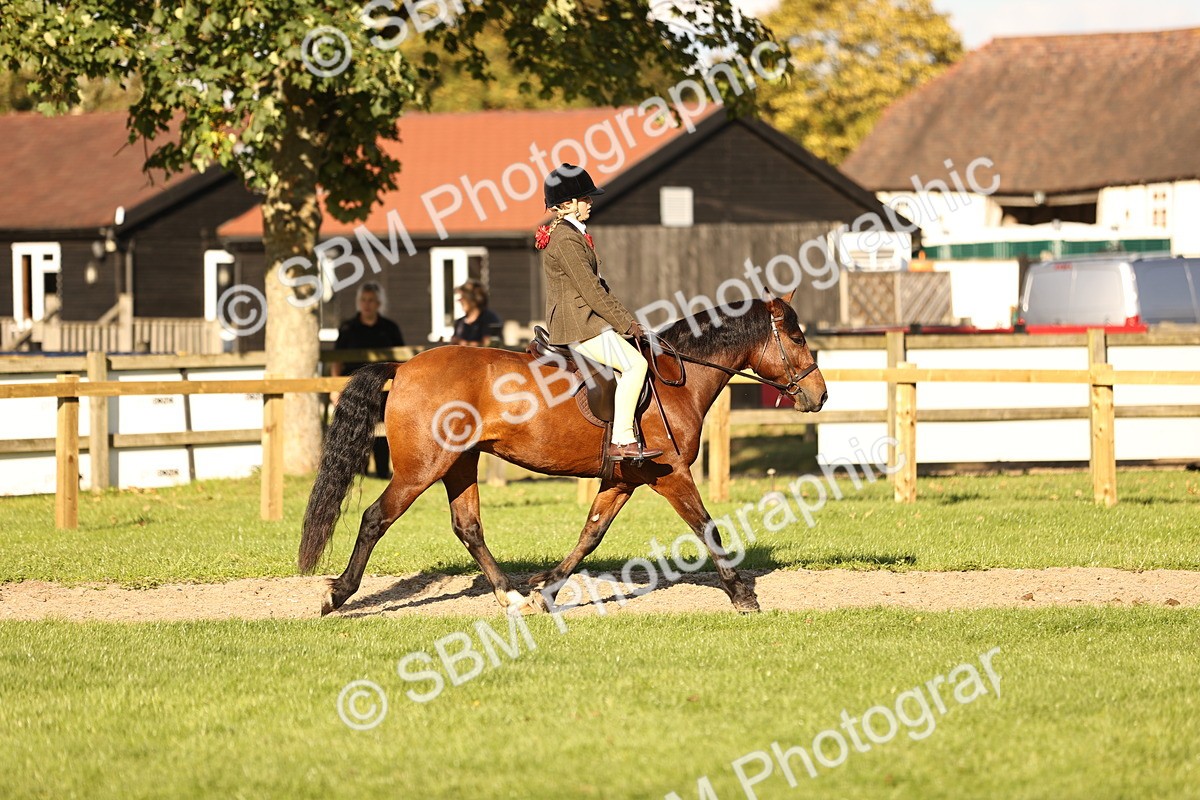 SBM_29399 - S7 - Novice & Newcomers Ridden Pony