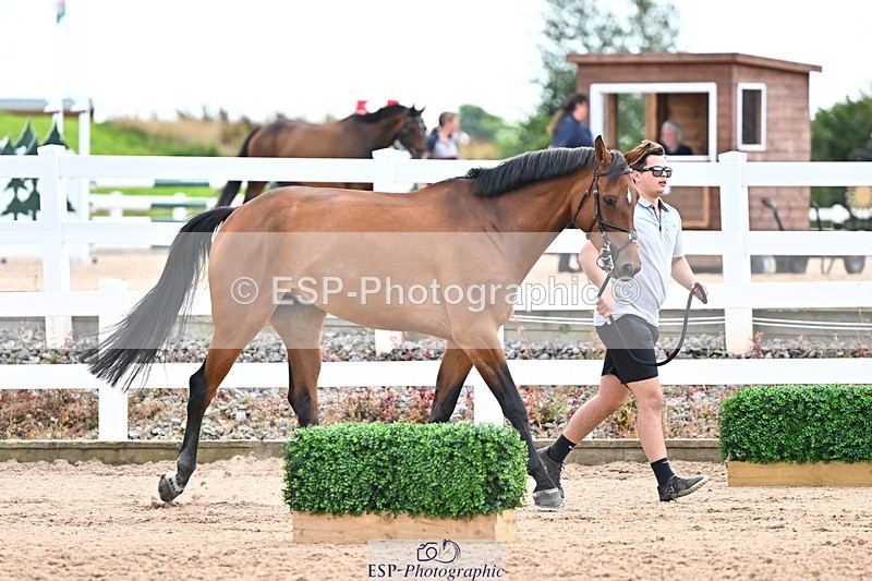 240718A-105325-01992 - Trot Up 2pm to 3pm - This folder is not in time order