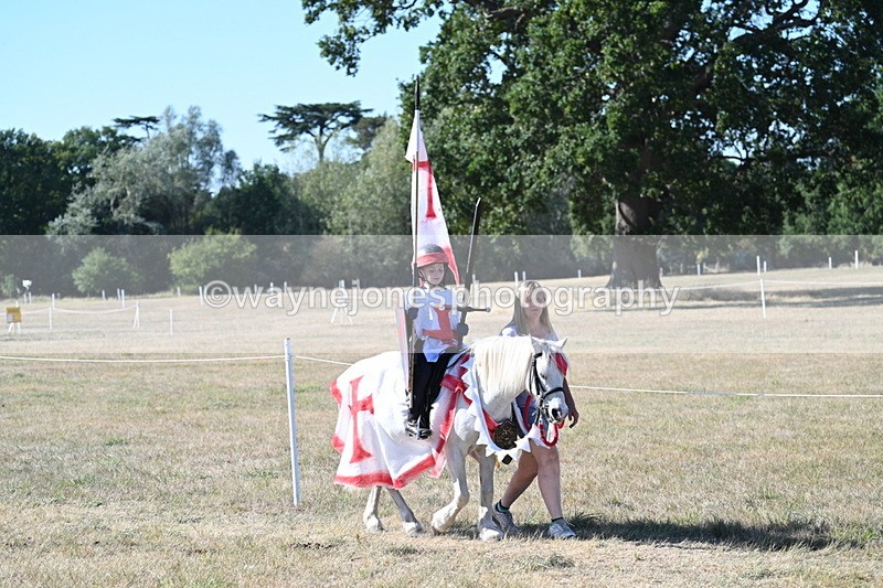 WJ7_2529 - Class 45 Fancy Dress (My Fav)