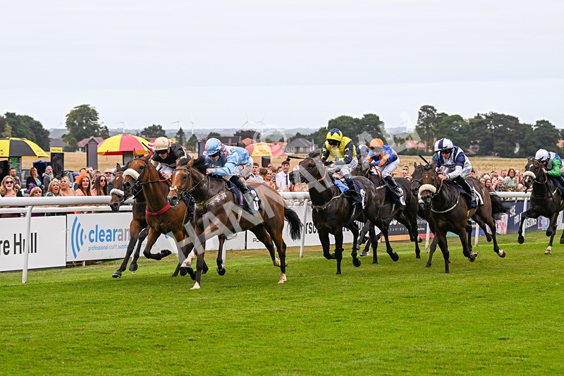 140824-Race 1-Lord Roxby-5784 - Race 1