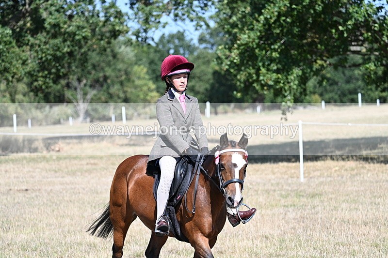 WJ7_4079 - Class 9 Mountain & Moorland Ridden