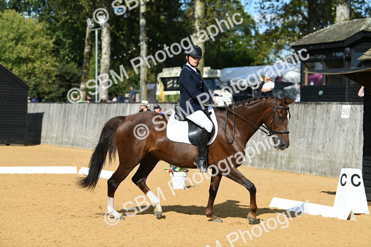 SBM_27037 - D16 - Small Tour Championship - Novice 28