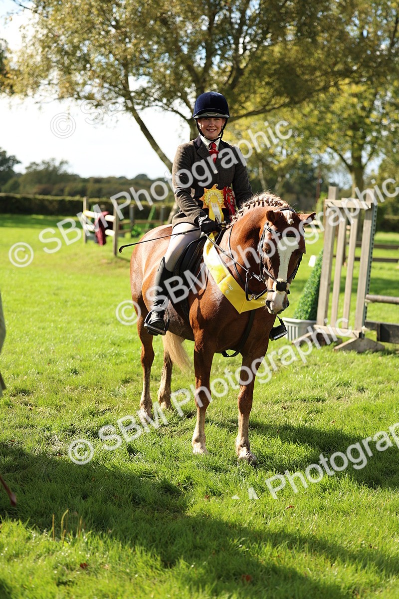SBM_46406 - Working Hunter Pony Supreme Championship
