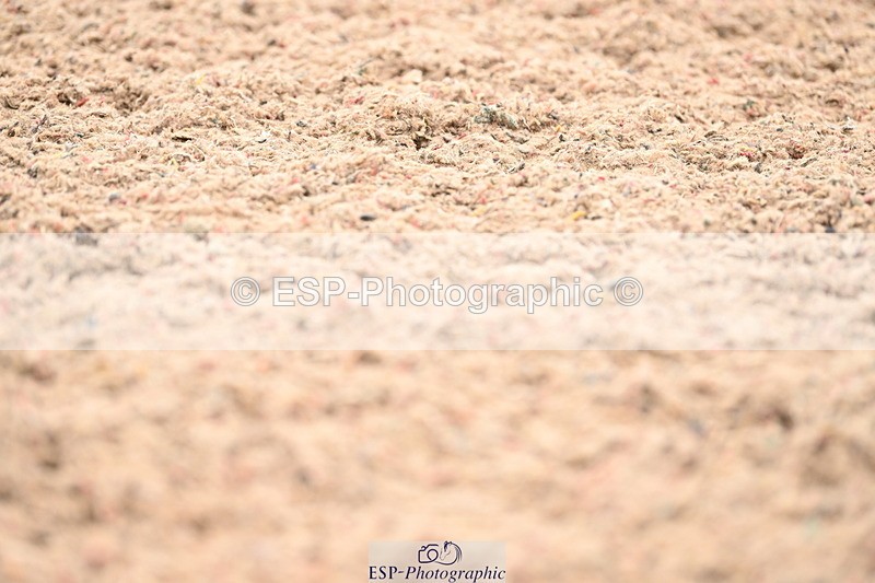 240815A-125755-01394 - 229-Jane.Phillips-Fair.duchess