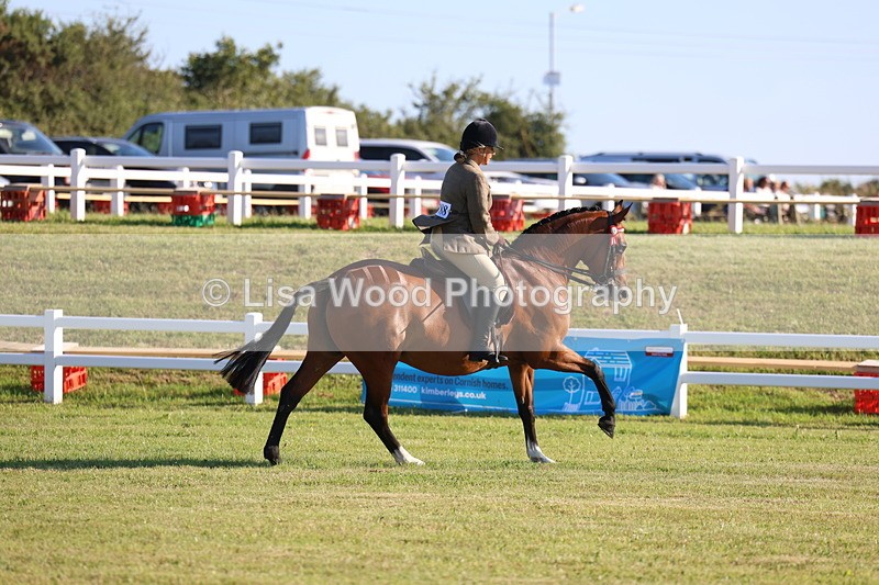 3E7A4952 - Class 1: Rising Star Small Hack/Riding Horses