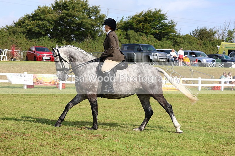 3E7A8808 - Class 3: Rising Star S/L Hunter