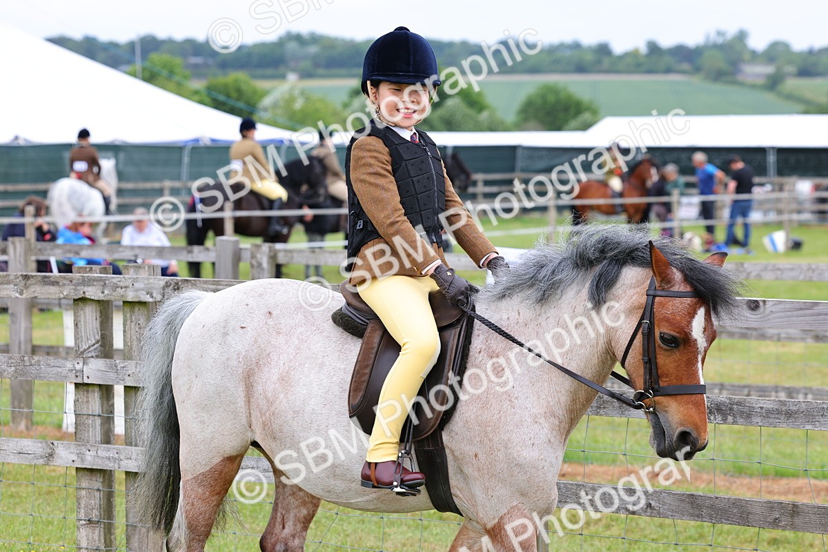 SBM_08451 - Class 42-43 - LIHS BSPS Heritage Working Sports Pony