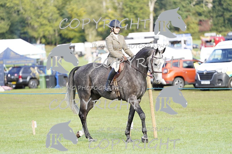 _DSC9298 - Class 8 & 17 Ridden Hunter & Ridden Hunter Pony