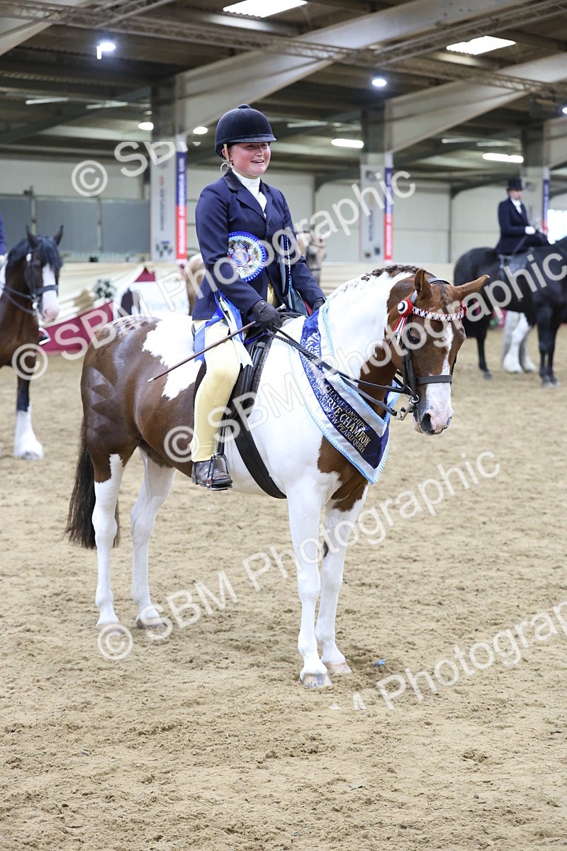 SBM_20252 - Class D - Grass Roots Champ