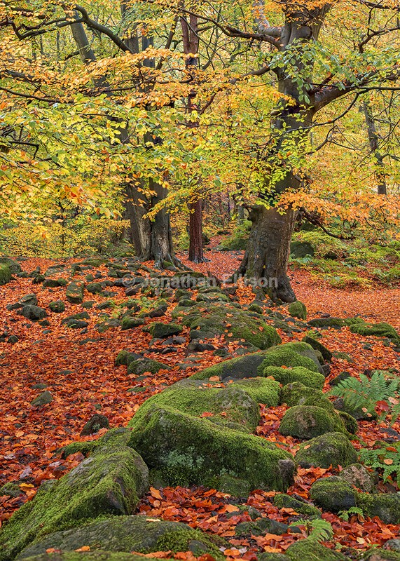 Padley Gorge - The Peak District