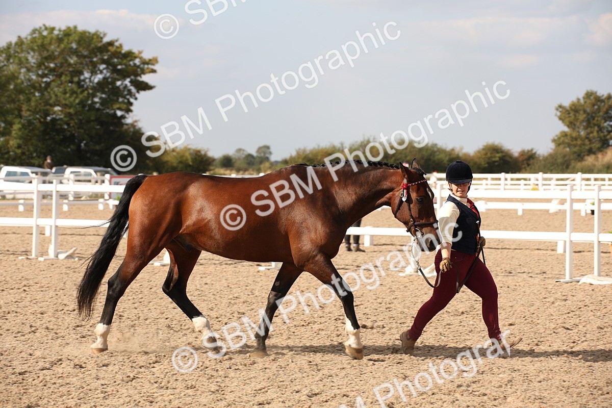 SBM_07445 - Class 26 IH Foreign Breeds -Part bred