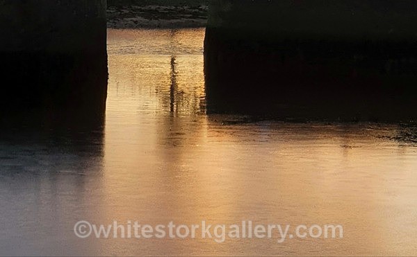  - NEW Winter Reflection