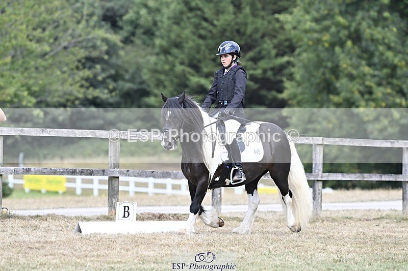 250821A-114334-15311 - DR 11.00 to 12.00