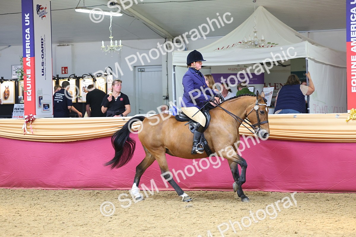SBM_23912 - Class 905 - Supreme Final - Ridden Veteran