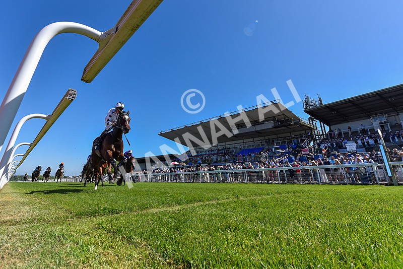 130525-Race 1-Artista-1853 - Race 1
