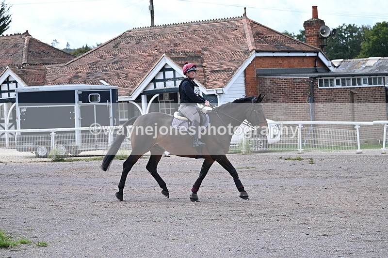 WJ7_9992 - Time 11:02 to 11:34