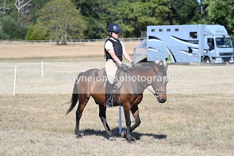 WJ7_2022 - Class 44 Child's Best Friend