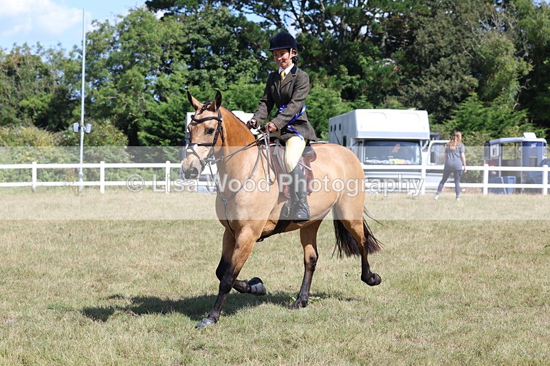 3E7A6390 - Working Hunter Championship