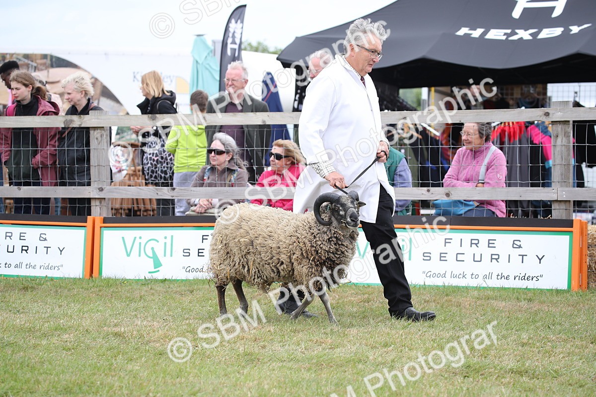 SBM_07806 - Grand Parade