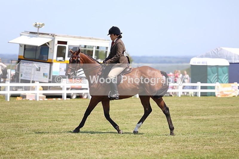 3E7A9328 - Class 12: Open Racehorse to Show Horse