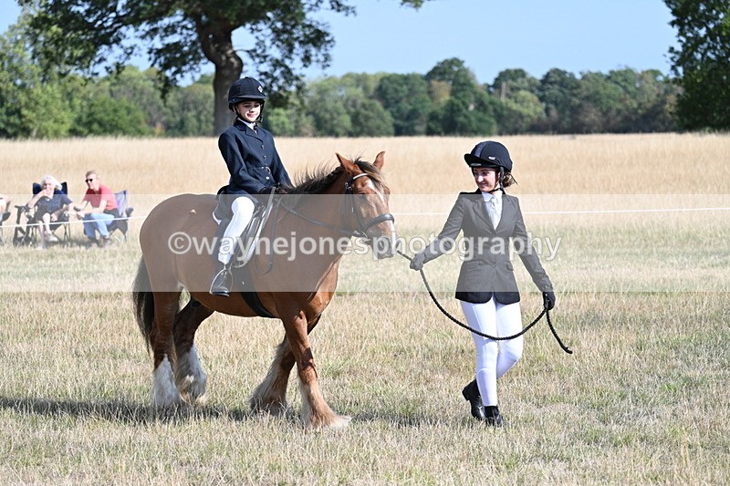 WJ7_2705 - Class 8 Ridden Tack & Turnout