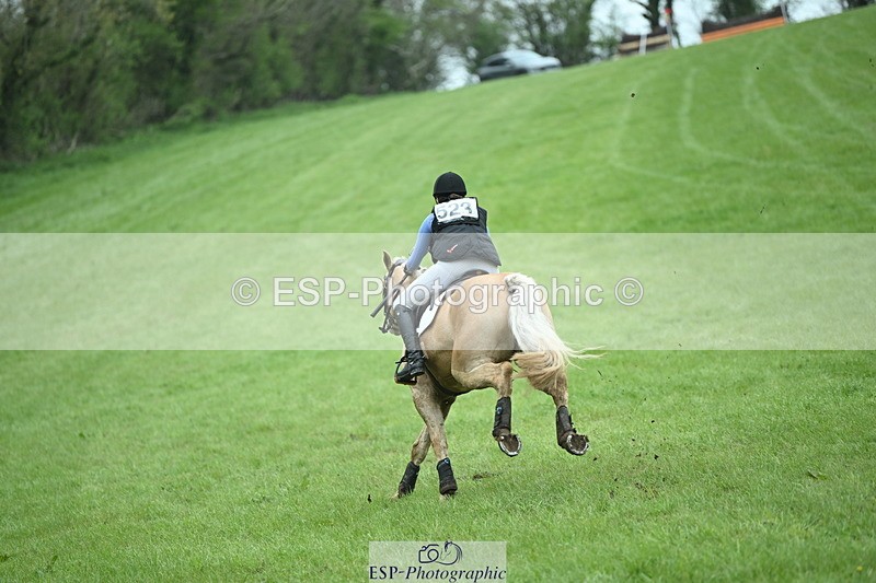 250419-130019-10732 - 523-Kate.Hicks-SWALLOWCROFT.STARDUST