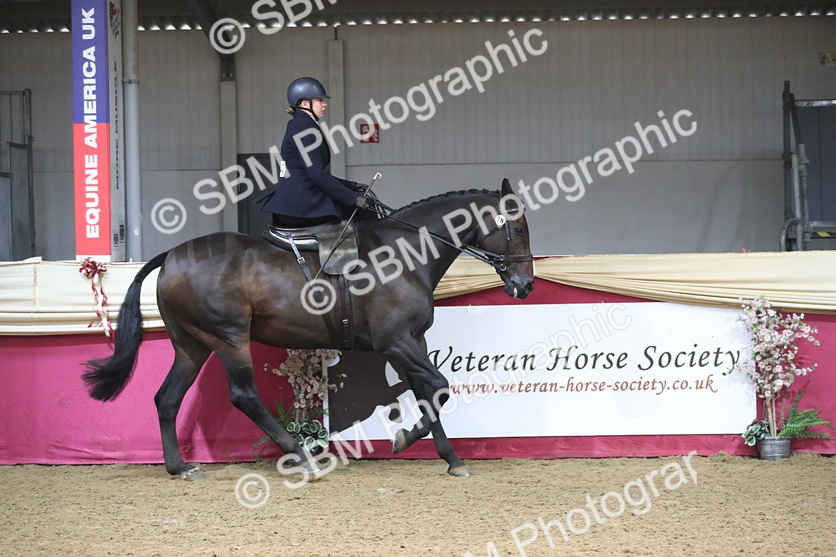 SBM_10374 - Class 102 Equitation (best rider) Adult