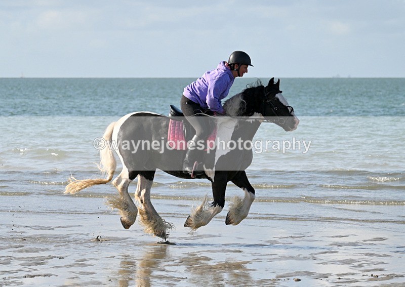 WJ7_3327 - Kellie & Churchill ... do Hayling Island 25-08-24