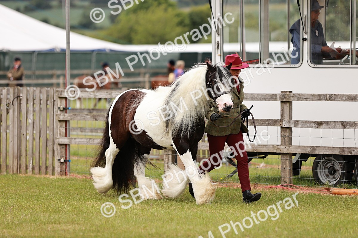 SBM_06021 - Class 39-41 TGCA In Hand and Ridden