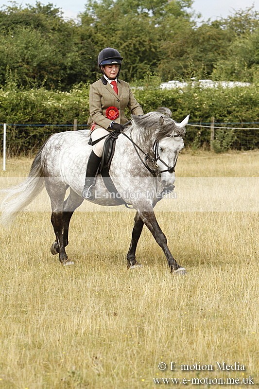 _BS_0590 - BVRC Show 2018 Ring 3