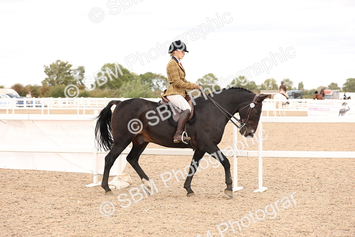 SBM_16474 - Class 212 - Ridden Hunter - Small