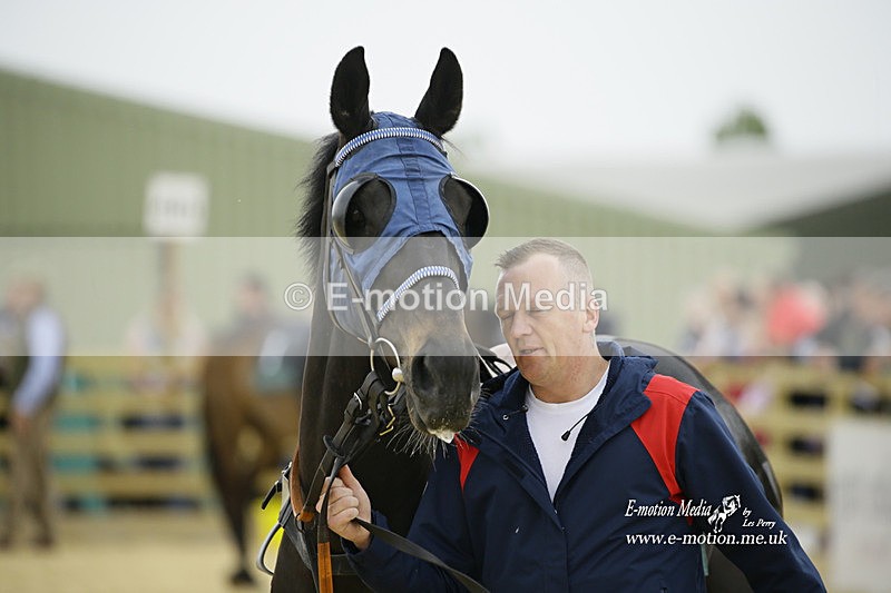 PtP 020522 62 - Mollington Races Point-to-Point 02/05/22
