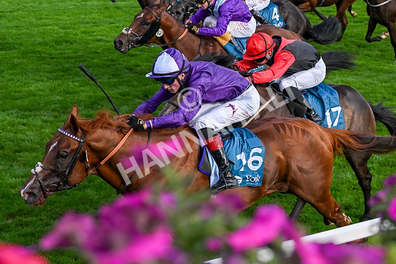 190826-Race 7-Henley On Thames-0802 - Race 7 17.20pm Sky Bet Nursery Handicap
