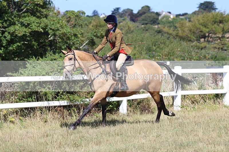 3E7A6421 - Working Hunter Championship