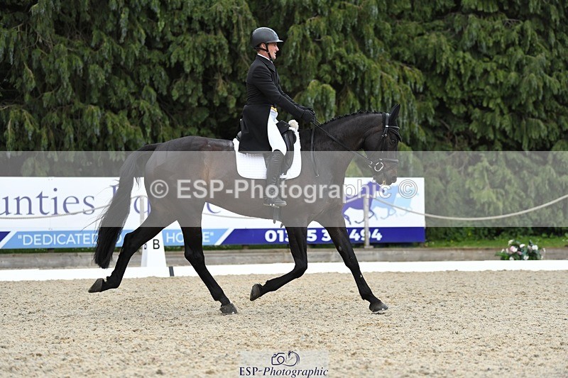 230525-141345-03115 - 319-RINGFORT_REVE_DU_MOULIN-Andrew_Downes-WEDTrotUp+DR