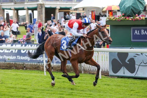 yr10062022r2-17 - Race 2 2.30pm SKF Rous Selling Stakes