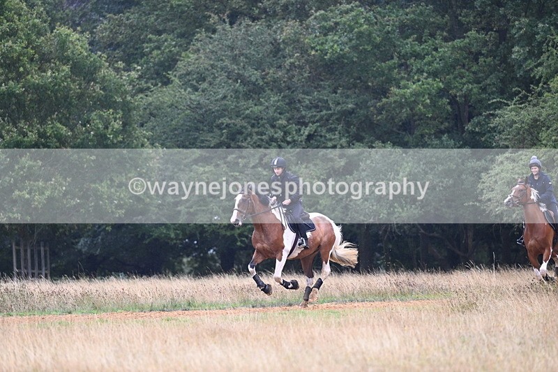 DSC_1584 - Time at Statue 11:54 to 12:12