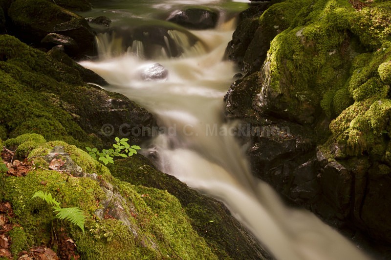 Light on a rock - Water