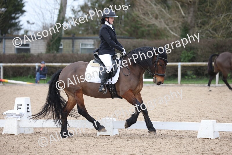 20260301-0946 - Class 6 - Elementary 5