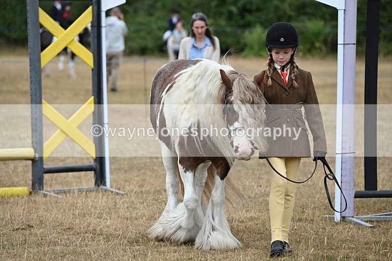 WJ6_8041 - Class 10 Coloured in Hand