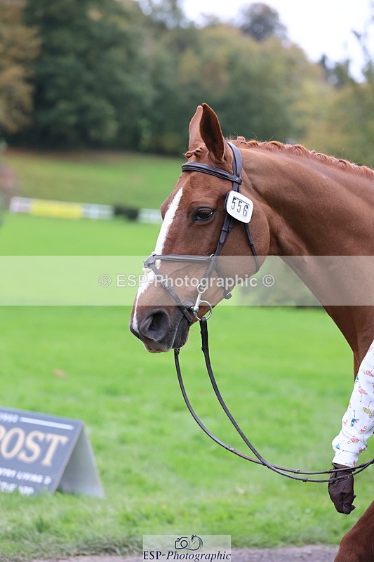 251026A-112513-25430 - G-556-Abi.Jacobs