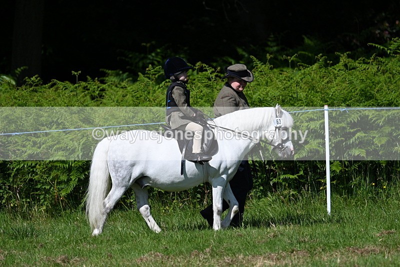 WJ7_0683 - Class 8 First Rally Pony