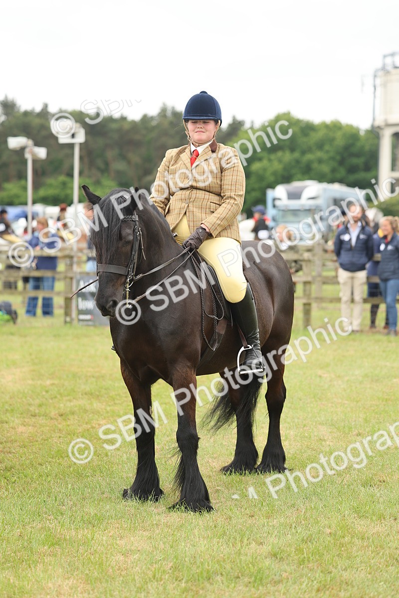 SBM_09017 - Class 78-80 - Ridden M&M Non Welsh Ponies